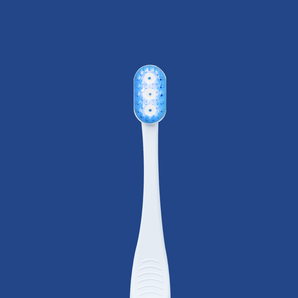 Great Gums One Toothbrush